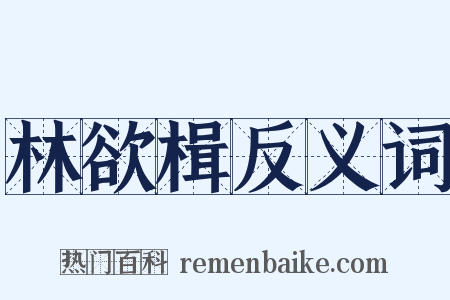 林欲楫反义词是什么意思的图片
